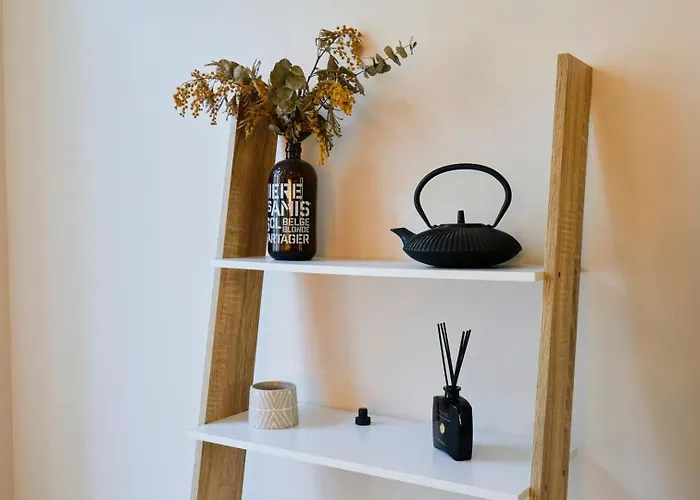 With Parking In The Heart Of Old Appartement Rijsel