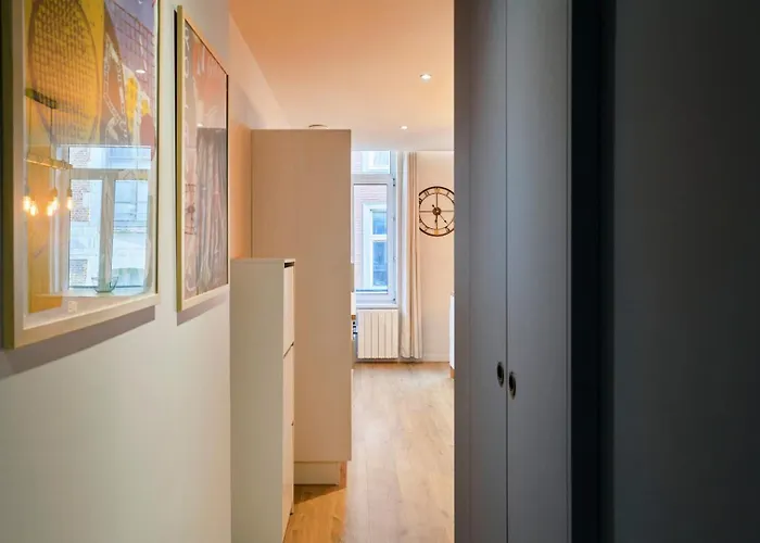 Appartement With Parking In The Heart Of Old Rijsel